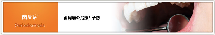 歯周病の治療と予防でいつまでも若々しい歯を