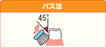 バス法