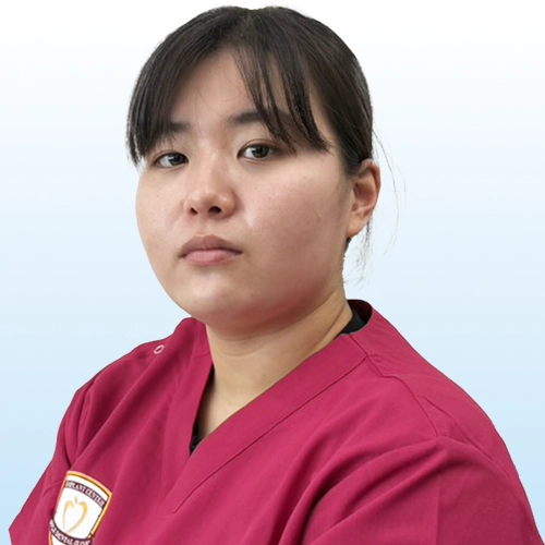 DA秋田